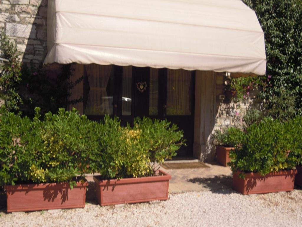 Appartement Il Turrione à Assise Extérieur photo